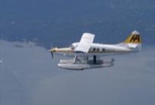 Victoria Whale Watching Safari